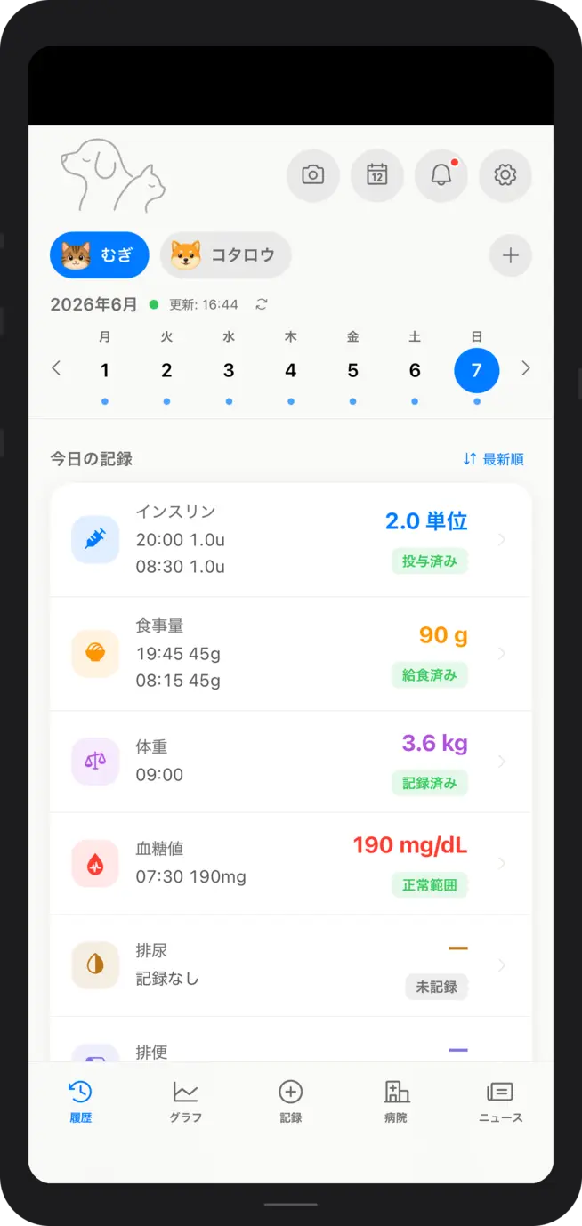 今日の記録画面